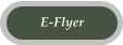 E-Flyer